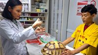 Begini Cara Merawat Reptile Peliharaan