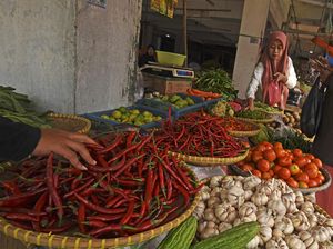 Harga Sembako Jogja Hari Ini 24 Juni 2024: Cabai Merah Keriting Anjlok! Harga Sembako Jogja Hari Ini 24 Juni 2024: Cabai Merah Keriting Anjlok!