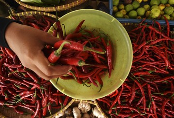 Duh! Harga Cabai Keriting Melambung Tembus Rp 72 Ribu/Kg