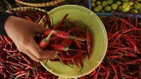 Duh! Harga Cabai Keriting Melambung Tembus Rp 72 Ribu/Kg