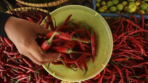 Duh! Harga Cabai Keriting Melambung Tembus Rp 72 Ribu/Kg