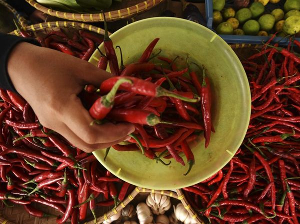 Duh! Harga Cabai Keriting Melambung Tembus Rp 72 Ribu/Kg