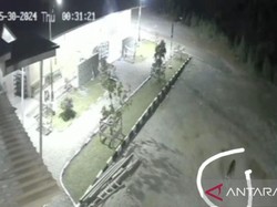 Harimau Terekam CCTV Berkeliaran di Halaman Masjid Solok Sumbar