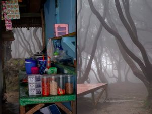 Keren! Warung Makan dengan Panorama Hutan Kabut ala Film Harry Potter