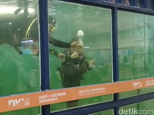 Serba-serbi Scuba Diving di Dalam Kontainer, Berani Coba? Serba-serbi Scuba Diving di Dalam Kontainer, Berani Coba?