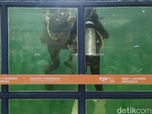 Menjajal Scuba Diving di Kolam Renang Mini dari Kontainer Menjajal Scuba Diving di Kolam Renang Mini dari Kontainer