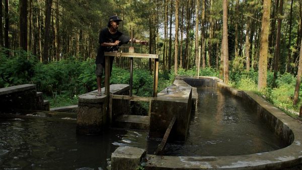 Melihat Pembangkit Listrik Mikro Hidro di Desa Sumberwuluh Lumajang
