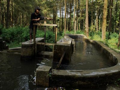 Melihat Pembangkit Listrik Mikro Hidro di Desa Sumberwuluh Lumajang