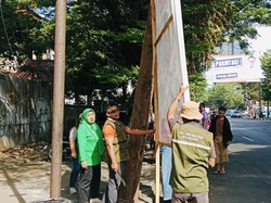 DLH Makassar Tertibkan 188 Spanduk-Baliho Dipaku di Pohon, Ada APK Pilkada