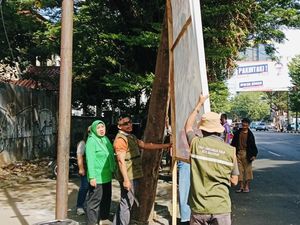 DLH Makassar Tertibkan 188 Spanduk-Baliho Dipaku di Pohon, Ada APK Pilkada DLH Makassar Tertibkan 188 Spanduk-Baliho Dipaku di Pohon, Ada APK Pilkada