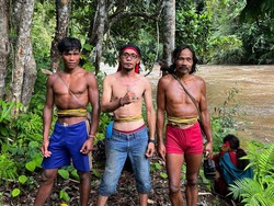 Suku Togutil Punya Tradisi Menjunjung Tinggi Perempuan, Anti Menebang Pohon