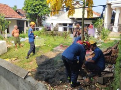 Kera Gigit Tangan Bocah dan Resahkan Warga Bogor, Damkar Turun Tangan