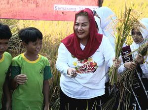 Walkot Semarang Ingin Kembangkan Balai Benih Pertanian Jadi Agrowisata Walkot Semarang Ingin Kembangkan Balai Benih Pertanian Jadi Agrowisata