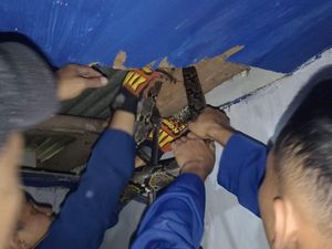 Hiii! Ular Sanca Ngumpet di Plafon Kamar Warga Banguntapan
