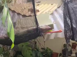 Kecamatan Limo Depok Ganti Rugi Rumah Warga Rusak Tertimpa Puing Renovasi