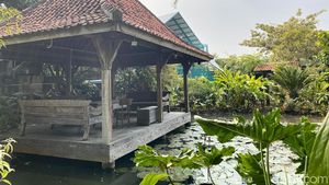 Terbaru! Kafe di BSD yang Punya Kolam dengan Nuansa Asri Teduh