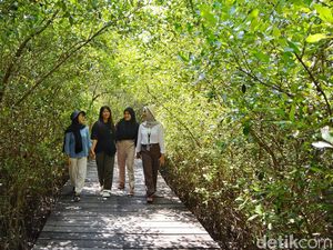 Menikmati Akhir Pekan di Kebun Raya Mangrove Surabaya Menikmati Akhir Pekan di Kebun Raya Mangrove Surabaya