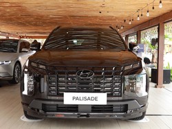 Hyundai Digugat Sejumlah Pengguna Palisade, Kenapa?