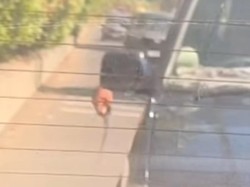 Viral Pemobil Arogan di Surabaya, Tak Terima Diklakson Keluarkan Celurit