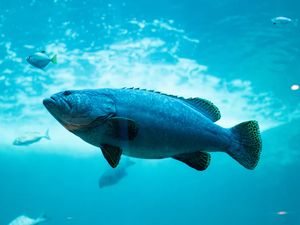 Seperti di Film, Robot Ikan Mata Mata Dipakai untuk Militer Seperti di Film, Robot Ikan Mata Mata Dipakai untuk Militer
