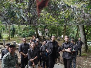Menkeu-Menteri LHK Lihat Orang Utan di Bukit Lawang