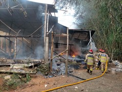 Kandang di Dlingo Bantul Terbakar, 8.000 Anak Ayam Terpanggang