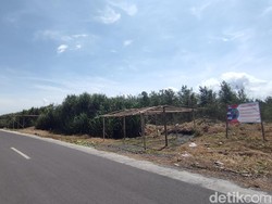 Penampakan Bangunan Liar yang Bermunculan di Sabuk Hijau YIA Kulon Progo