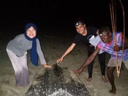 Berawal dari MSIB, Rista Kmurawak Jadi Penerima Beasiswa S2 LPDP Termuda