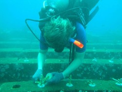 Desa Les Tejakula Masuk 50 Besar ADWI 2024