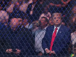 Khabib Nurmagomedov Minta Donald Trump Setop Perang di Palestina