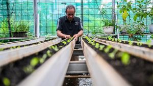 Intip Green House Poktan Petapa di Pancoran Jaksel