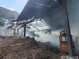 Kendala Damkar Padamkan Kebakaran Gudang Kayu Putih Hutan Bunder