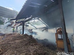Kendala Damkar Padamkan Kebakaran Gudang Kayu Putih Hutan Bunder