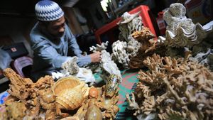 Potret Kerajinan Fosil Bunga Karang Laut di Aceh Barat