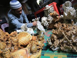 Potret Kerajinan Fosil Bunga Karang Laut di Aceh Barat