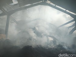 Gudang Kayu Putih di Hutan Bunder Gunungkidul Terbakar