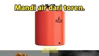 Kumpulan Hal Random di Medsos, Mana yang Paling Ajaib?