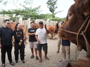 Bupati Kediri Siapkan 4 Sapi Limosin untuk Kurban Idul Adha 2024