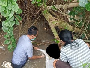 Geger! Mayat Bayi Mengapung di Saluran Irigasi Subak Nyitdah Tabanan