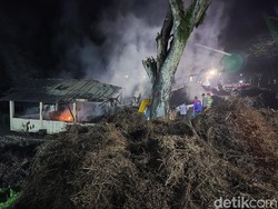 Kronologi 24 Jam Kebakaran Gudang Kayu Putih Hutan Bunder Gunungkidul
