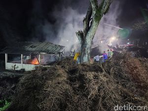 Kronologi 24 Jam Kebakaran Gudang Kayu Putih Hutan Bunder Gunungkidul Kronologi 24 Jam Kebakaran Gudang Kayu Putih Hutan Bunder Gunungkidul
