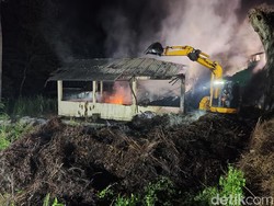 16 Jam Berlalu, Kebakaran Gudang Kayu Putih Hutan Bunder Belum Padam