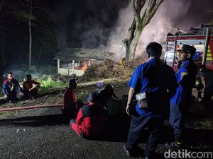 Gudang Kayu Putih Hutan Bunder Terbakar, Damkarmat Jogja Bantu Padamkan Gudang Kayu Putih Hutan Bunder Terbakar, Damkarmat Jogja Bantu Padamkan