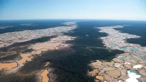 Foto Miris Deforestasi Dunia, Hutan Papua dan Kalimantan Dibabat!