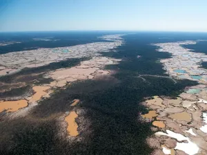 Foto Miris Deforestasi Dunia, Hutan Papua dan Kalimantan Dibabat! Foto Miris Deforestasi Dunia, Hutan Papua dan Kalimantan Dibabat!