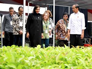 Dubes LN Kagum Lihat Persemaian Mentawir: Inisiatif Luar Biasa Dubes LN Kagum Lihat Persemaian Mentawir: Inisiatif Luar Biasa