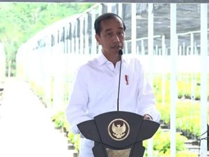 Jokowi Mau Hijaukan IKN Pakai Persemaian Mentawir Rp 339 M Jokowi Mau Hijaukan IKN Pakai Persemaian Mentawir Rp 339 M