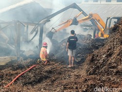 Damkar Lakukan Pendinginan di Gudang Kayu Putih Hutan Bunder