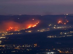 Israel Darurat Nasional Setelah Kebakaran Hutan Mendekat ke Yerusalem
