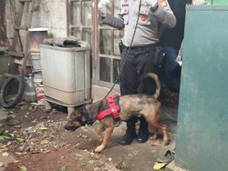 Saat Anjing Miko Diterjunkan di Kasus Pembunuhan Bocah di Bekasi